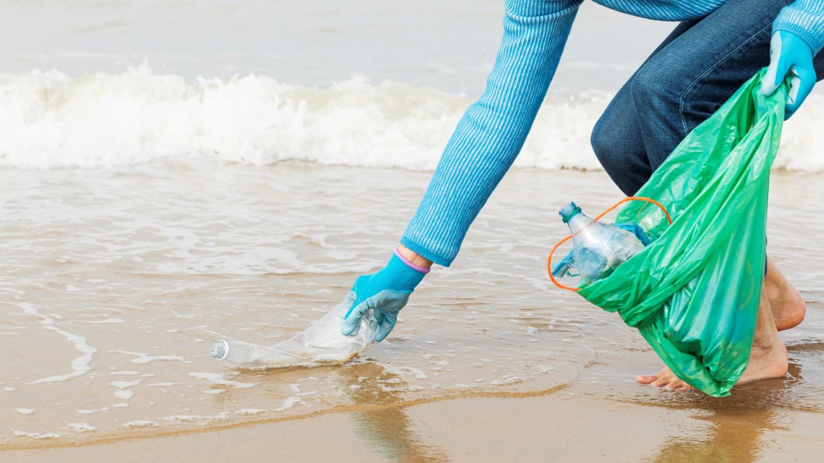 Thousands of volunteers will join California Coastal Cleanup Day; sign up now – NBC Los Angeles