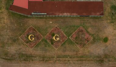 California to buy defunct horse track and turn it into the Bay Area’s newest public park -