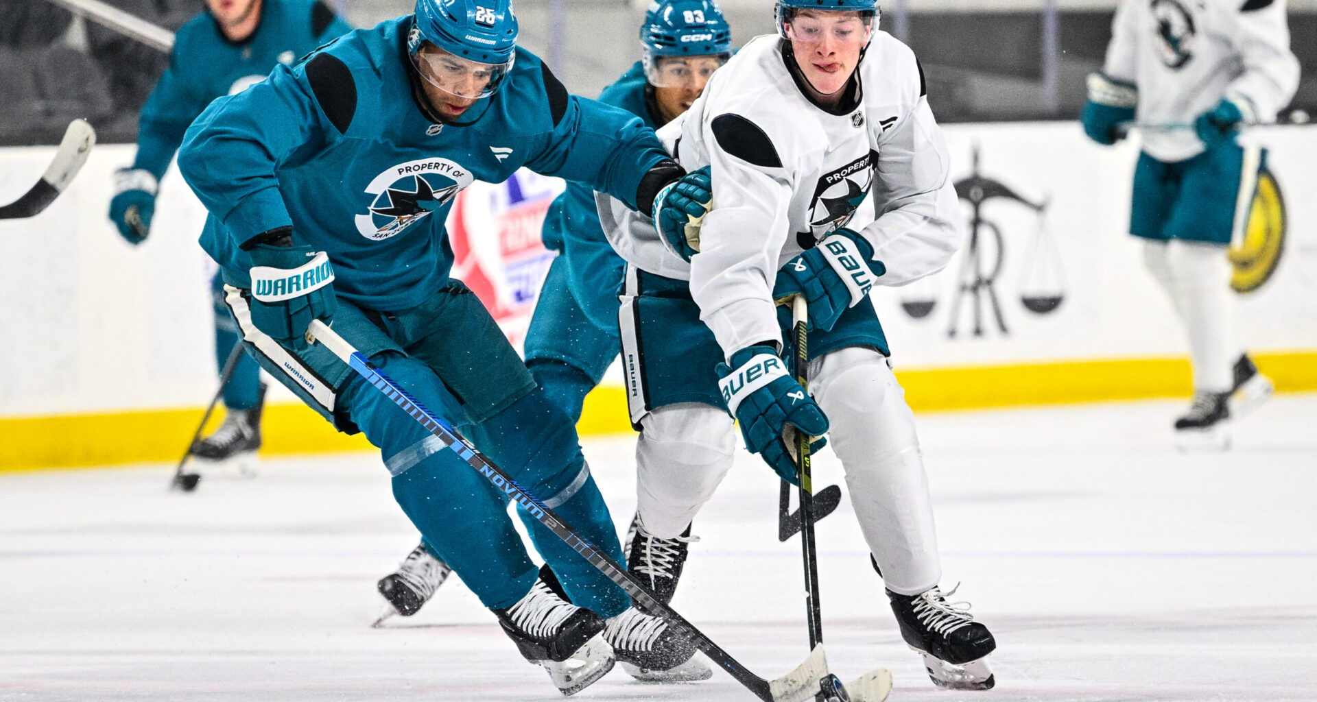 Graf Impressed With Stenberg Early In Sharks Camp