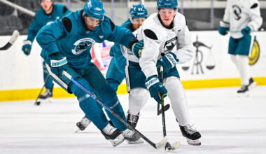 Graf Impressed With Stenberg Early In Sharks Camp