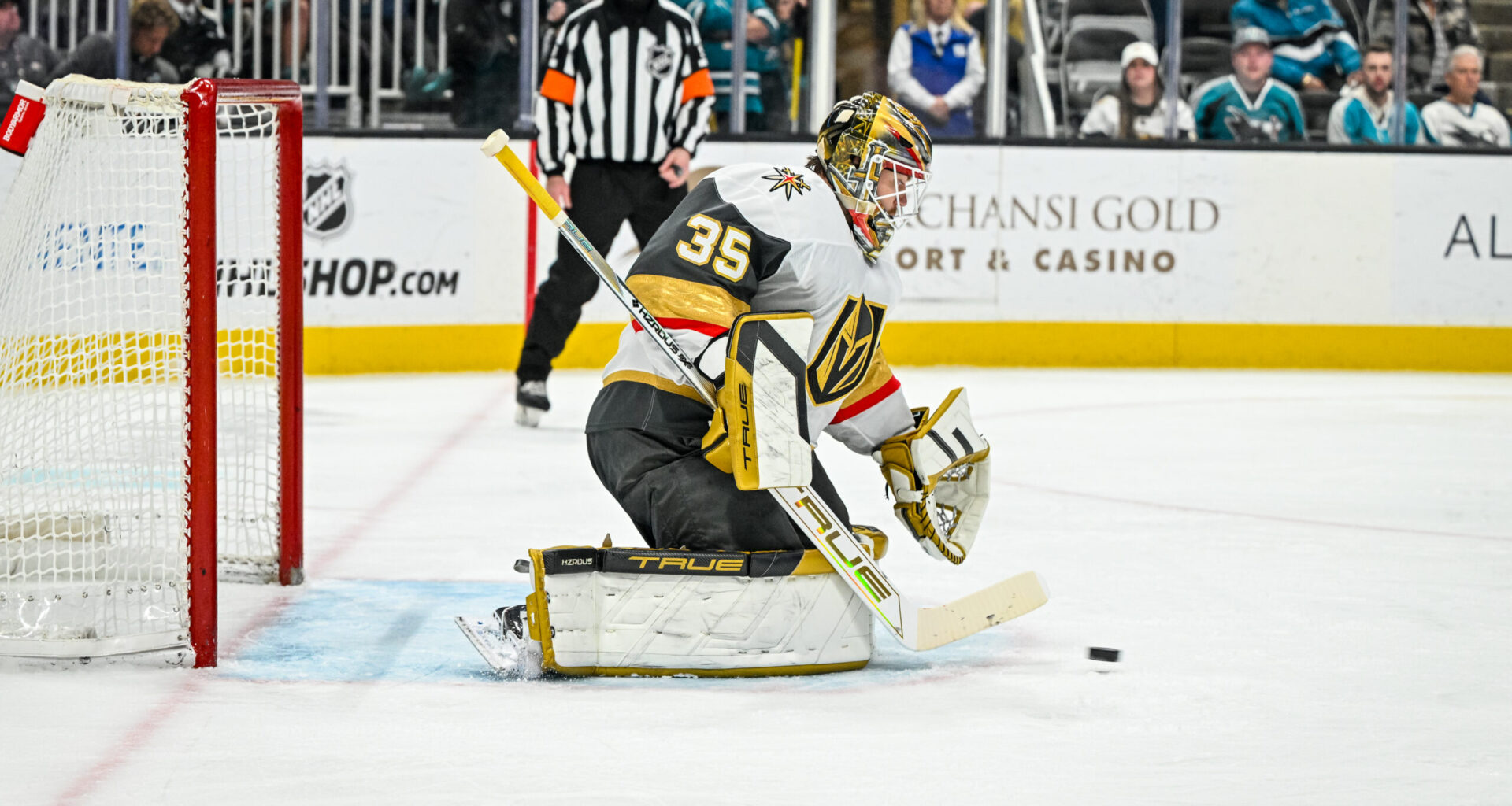 Sharks Add Goalie Depth, Sign Former Capitals 2015 1st-Rounder