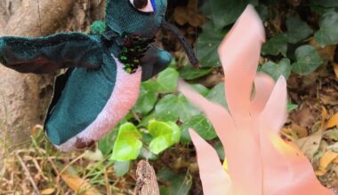 Ohlone puppet show, ‘Hummingbird Saves Fire,’ takes flight at Fairyland