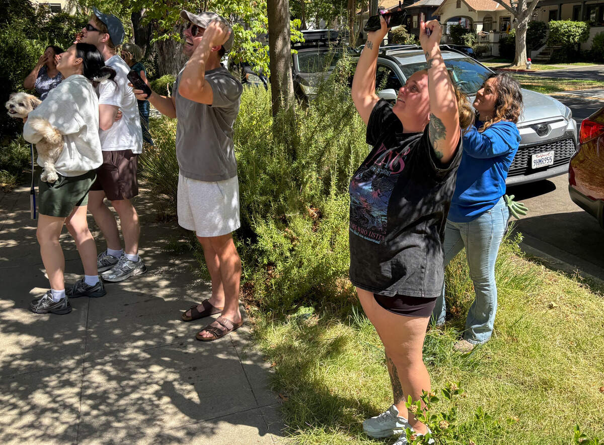 Alisha Wiborn cheers as her cat is rescued by Jaramillo Tree Services in Sacramento’s Boulevard Park neighborhood on Saturday, Sept. 12, 2026.