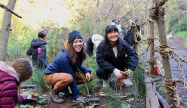 Volunteer opportunities abound on Creek to Bay Day in Oakland
