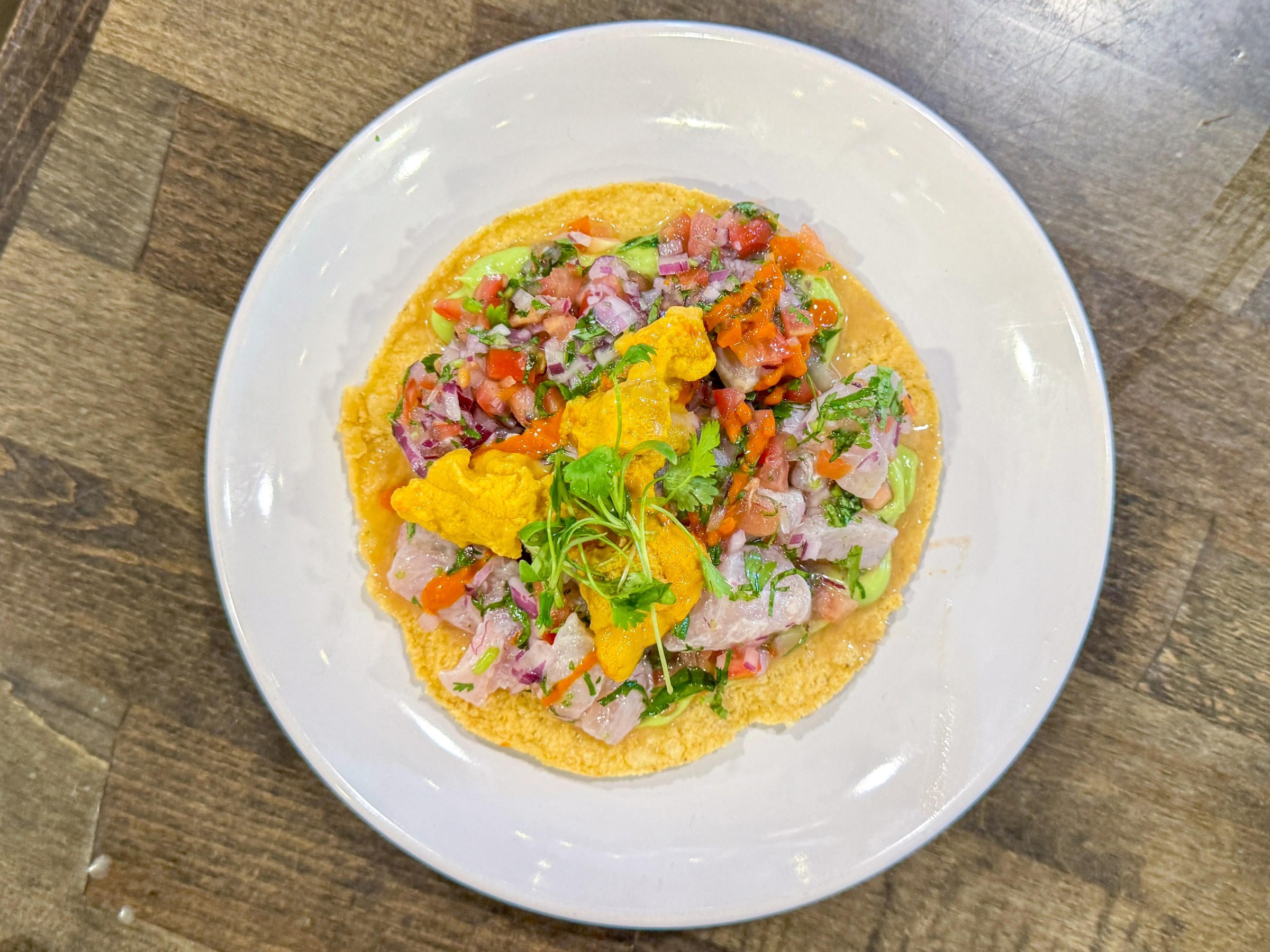 A white plate with an uni and kampachi tostada from Holbox