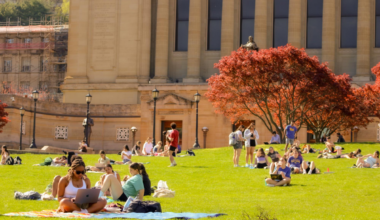 Students study on Soldiers and Sailors lawn.