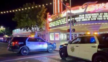 Fact check: D1 council candidates on Tower District policing