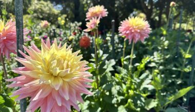 5 Oakland events from September 5 to 9