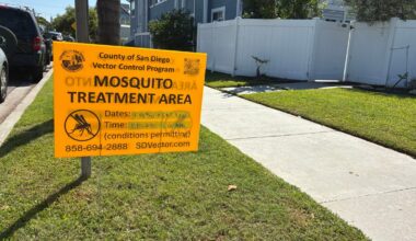 Coronado named a hot spot for mosquitos as County prepares for pesticide spray – NBC 7 San Diego