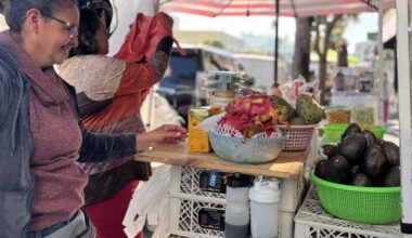 San Francisco could let street vendors sell home-cooked food