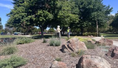 Brennan: San Jose should look beyond internal candidates for its next park director