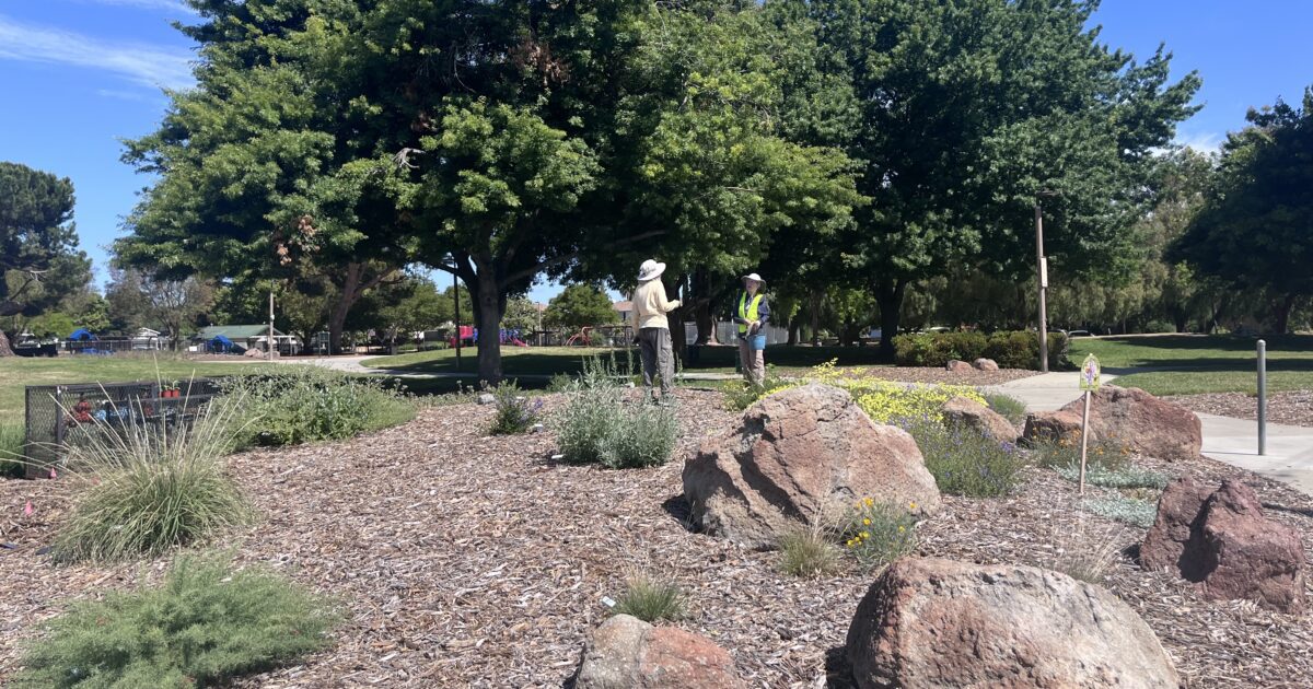 Brennan: San Jose should look beyond internal candidates for its next park director