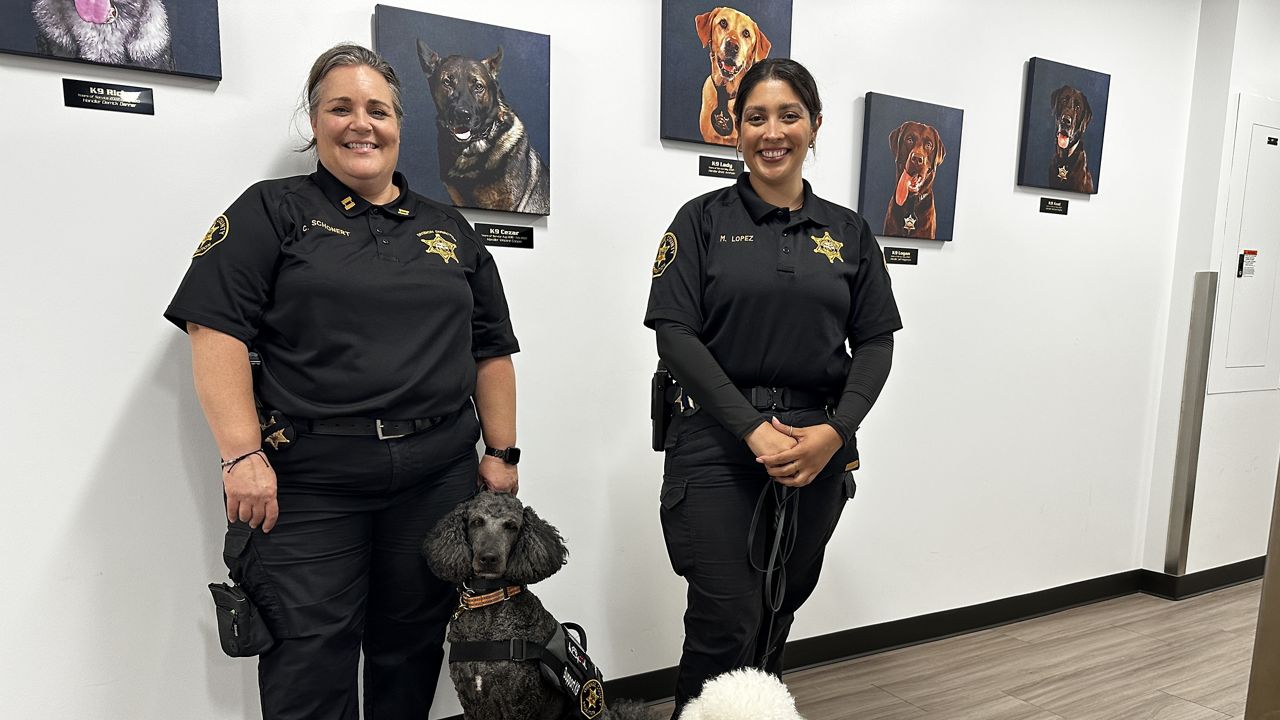 Four-legged workers join the OC Probation Department staff