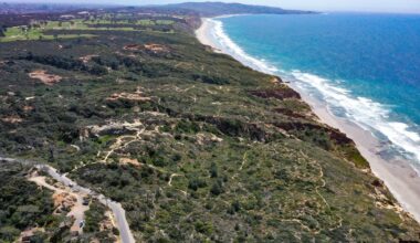 Torrey Pines Natural State Reserve in La Jolla closed for phase two of upgrades – San Diego Union-Tribune