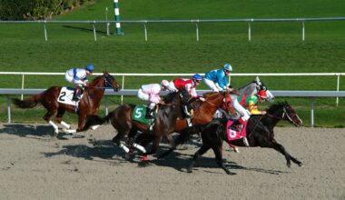 California to buy defunct horse track and turn it into the Bay Area’s newest public park