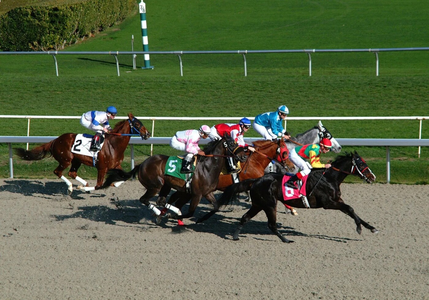 California to buy defunct horse track and turn it into the Bay Area’s newest public park