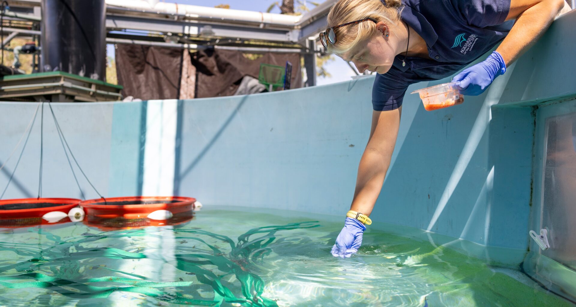 Aquarium of the Pacific helps nearly 500 animals rescued from wildlife traffickers – Press Telegram