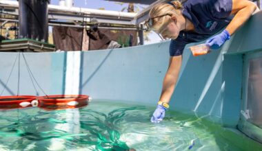 Aquarium of the Pacific helps nearly 500 animals rescued from wildlife traffickers – Press Telegram
