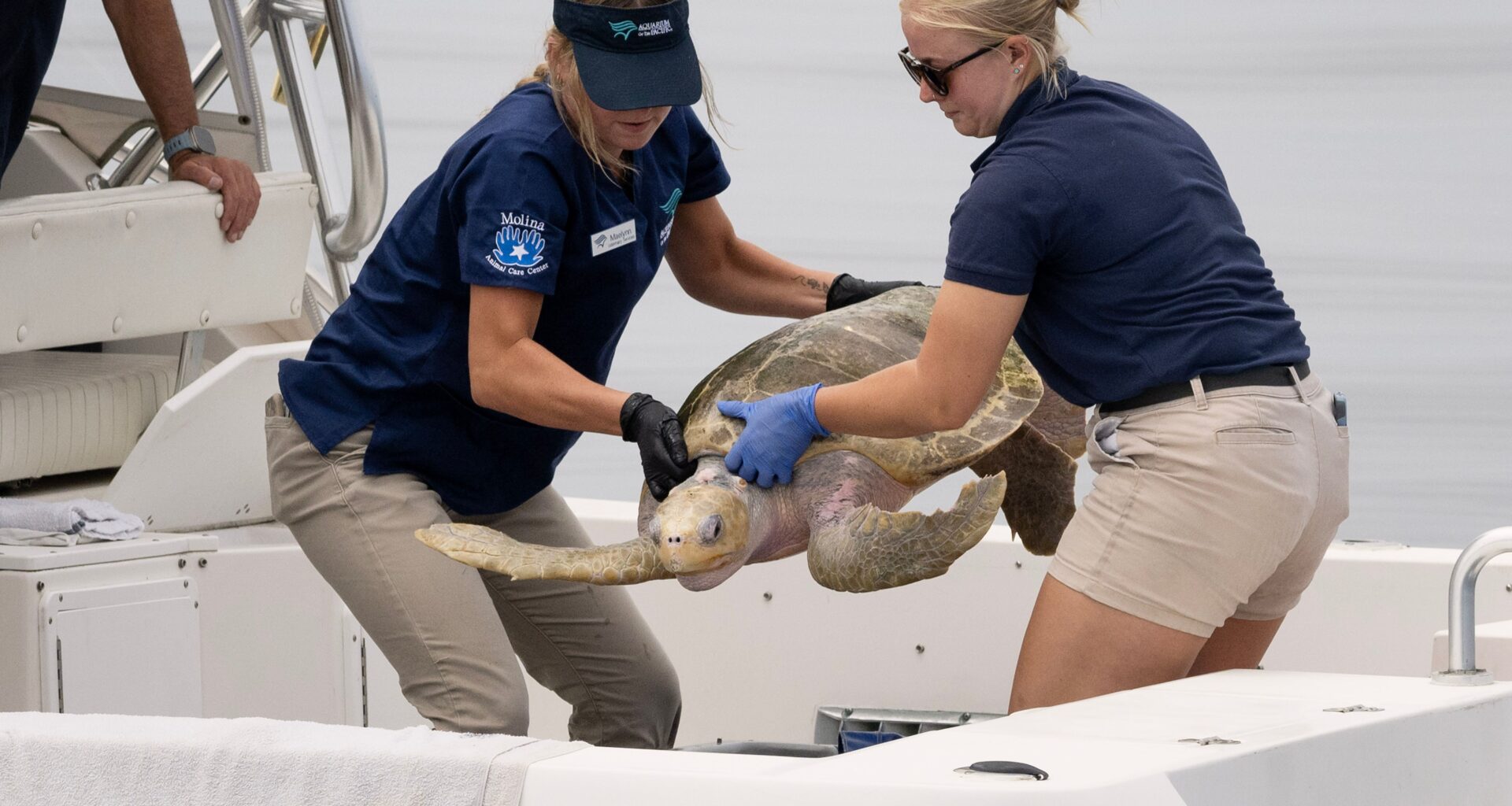 Workers at Aquarium of the Pacific announce plans to unionize – Press Telegram