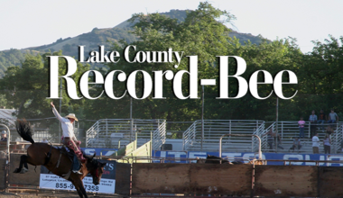 record-bee default image