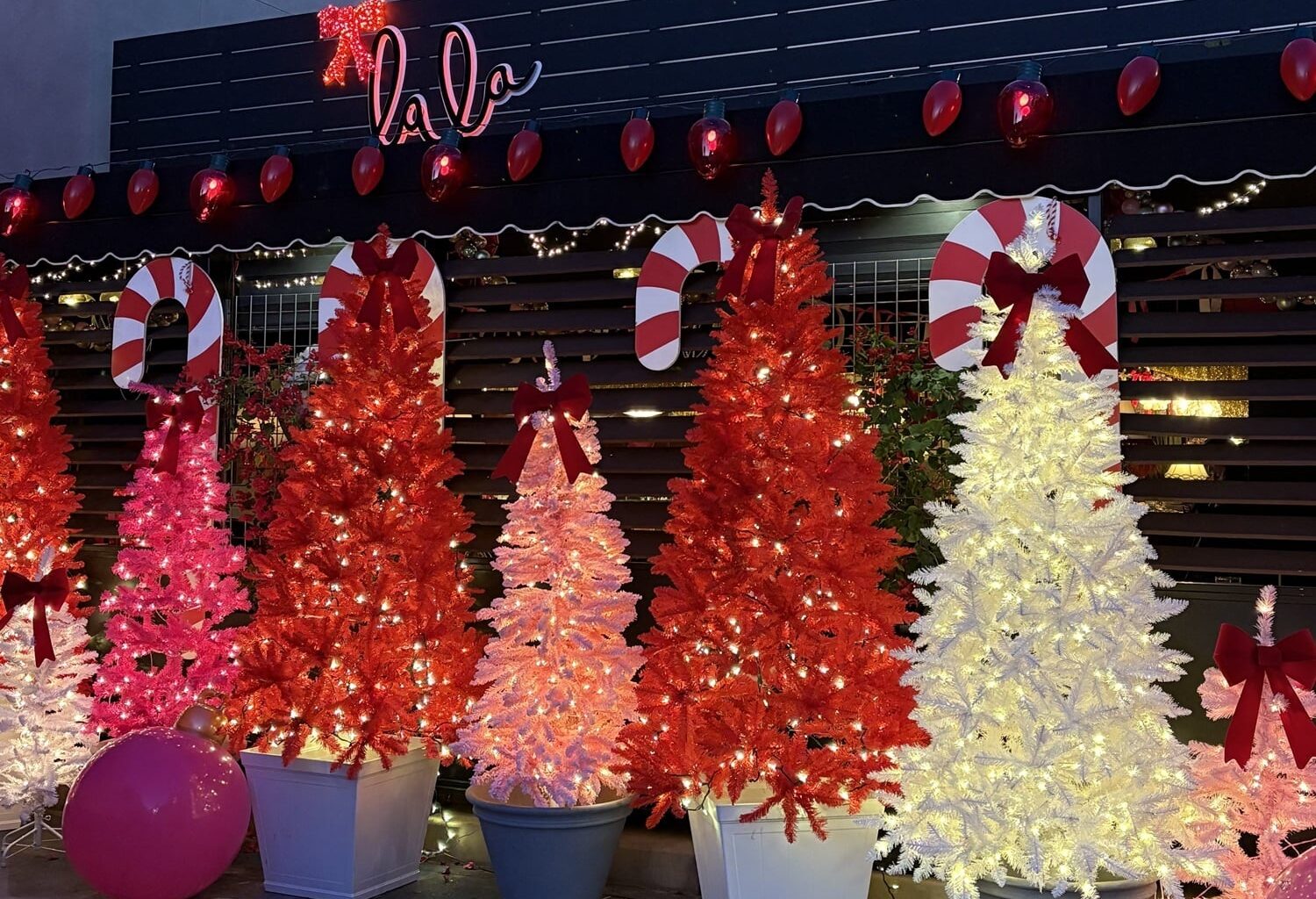 Twinkling lights and décor at Lala