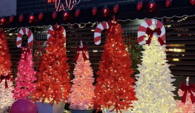 Twinkling lights and décor at Lala