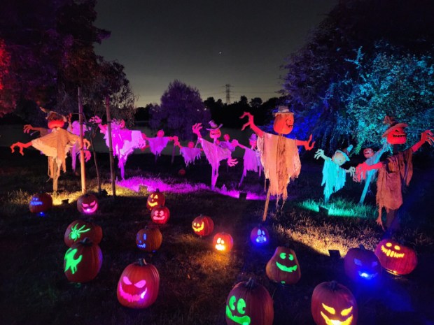 Pumpkin scarecrows inside the Magic of the Jack O'Lanterns event. It returns Sept. 18-Nov. 1. (Photo by Kelli Skye Fadroski, SCNG)