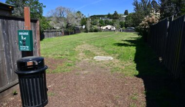Tiburon approves $800K contract for Bel Aire park improvements