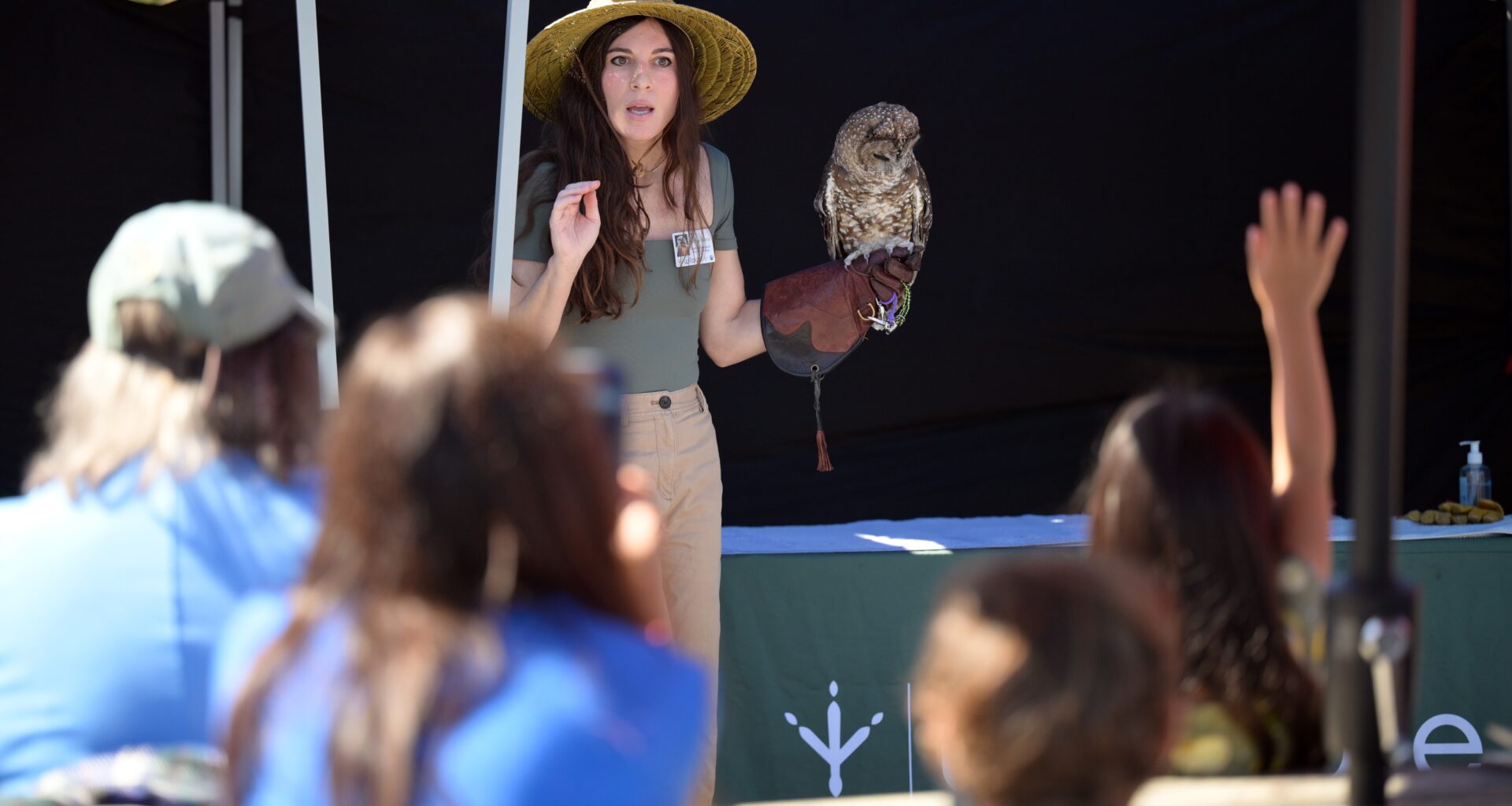 Wildlife more mild than wild at Tiburon event – Marin Independent Journal