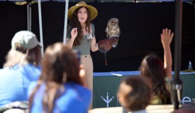 Wildlife more mild than wild at Tiburon event – Marin Independent Journal