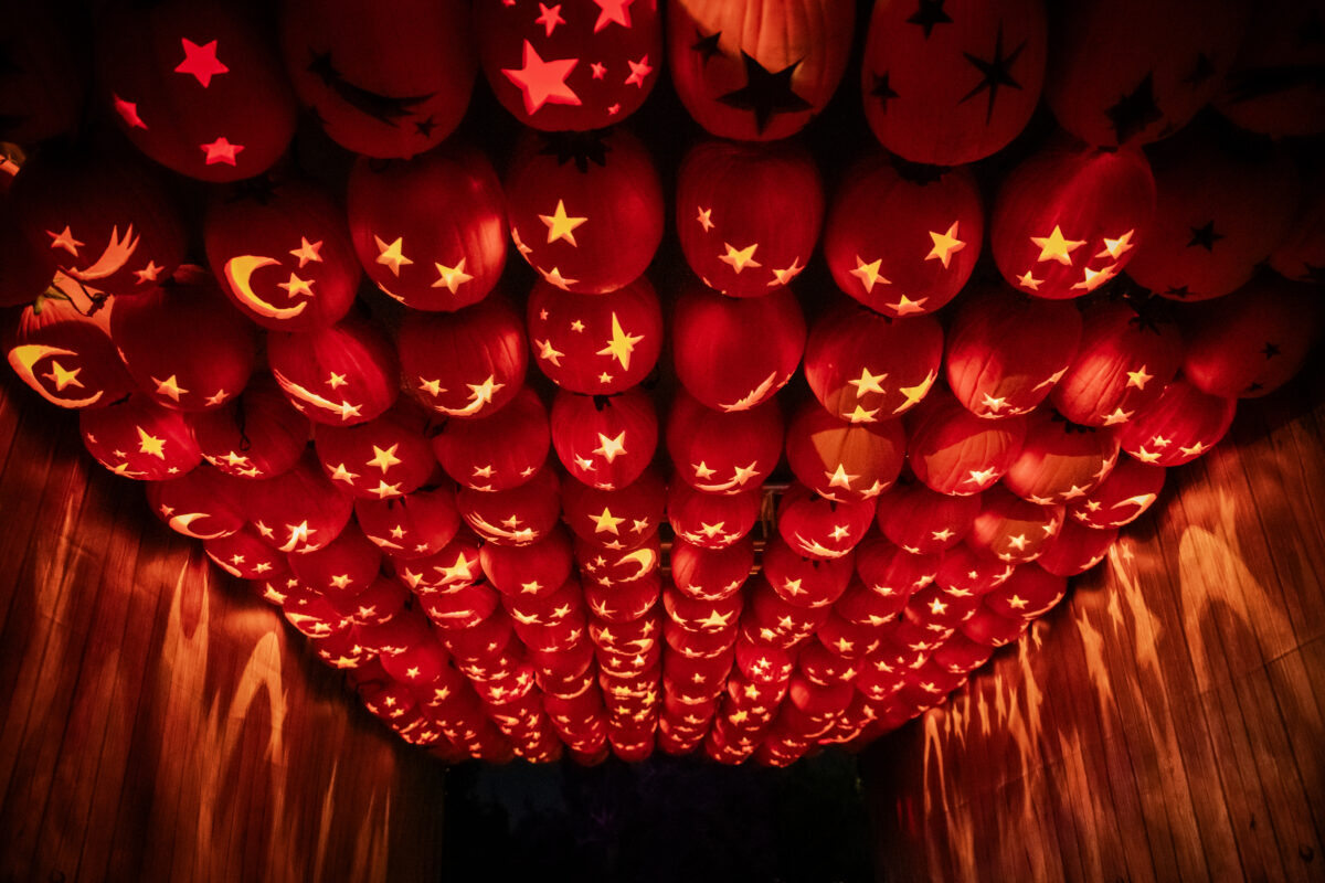 South Coast Botanic Garden jack 'o lanterns