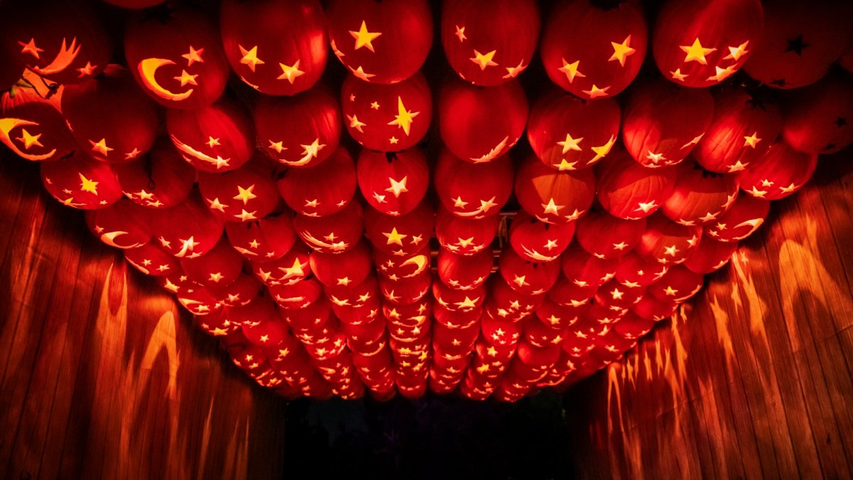 Fall lovers: Enter a woodsy realm lit by over 10,000 hand-carved jack o’lanterns – NBC Los Angeles