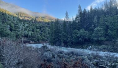 DWR: Watershed after fire: New report summarizes years of water quality monitoring in the Sacramento watershed ~ MAVEN'S NOTEBOOK