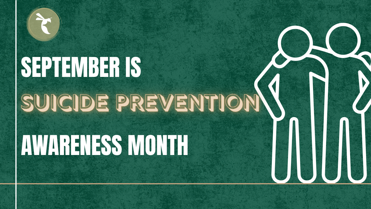 Recognizing the Signs: Sacramento State addresses student mental health crisis – The State Hornet
