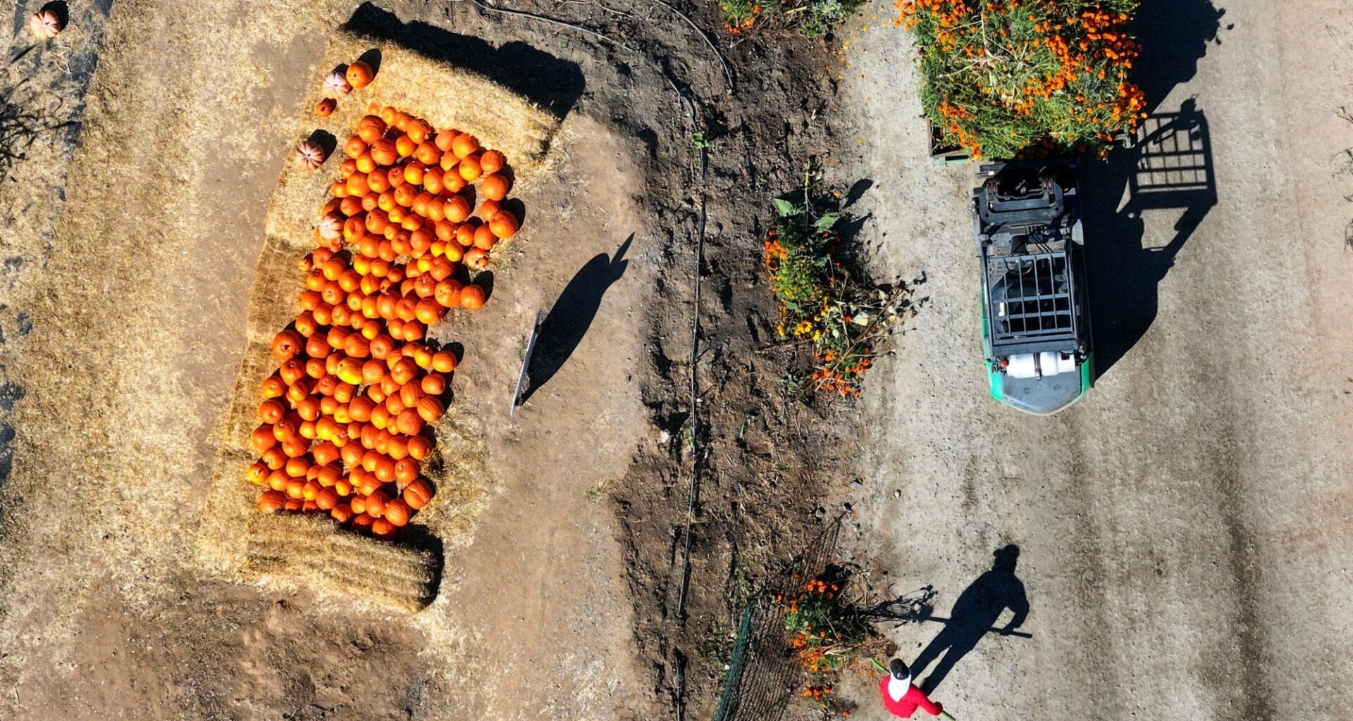 Best of Orange County 2026: Best farmers market – Orange County Register