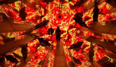 Knott’s Scary Farm 2026: All 10 mazes ranked from best to worst – Orange County Register
