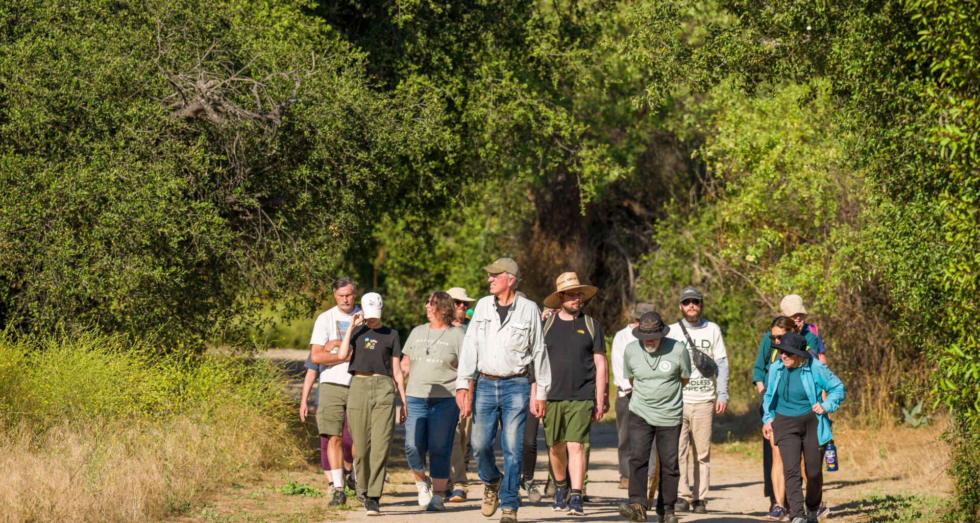 Deadline extended to weigh in on discussion about more roads in federal forests – Orange County Register