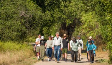 Deadline extended to weigh in on discussion about more roads in federal forests – Orange County Register