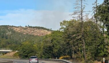 DELAYS ON INTERSTATE 5 NEAR SUTHERLIN/OAKLAND FOR TREE REMOVAL BEGINS SEPTEMBER 28TH – KQEN News Radio
