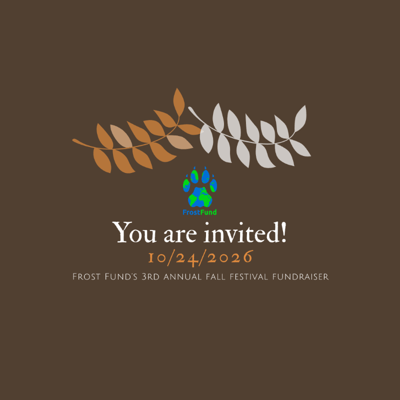 Graphic image stating "Frost Fund You are invited! 10/24/2026."