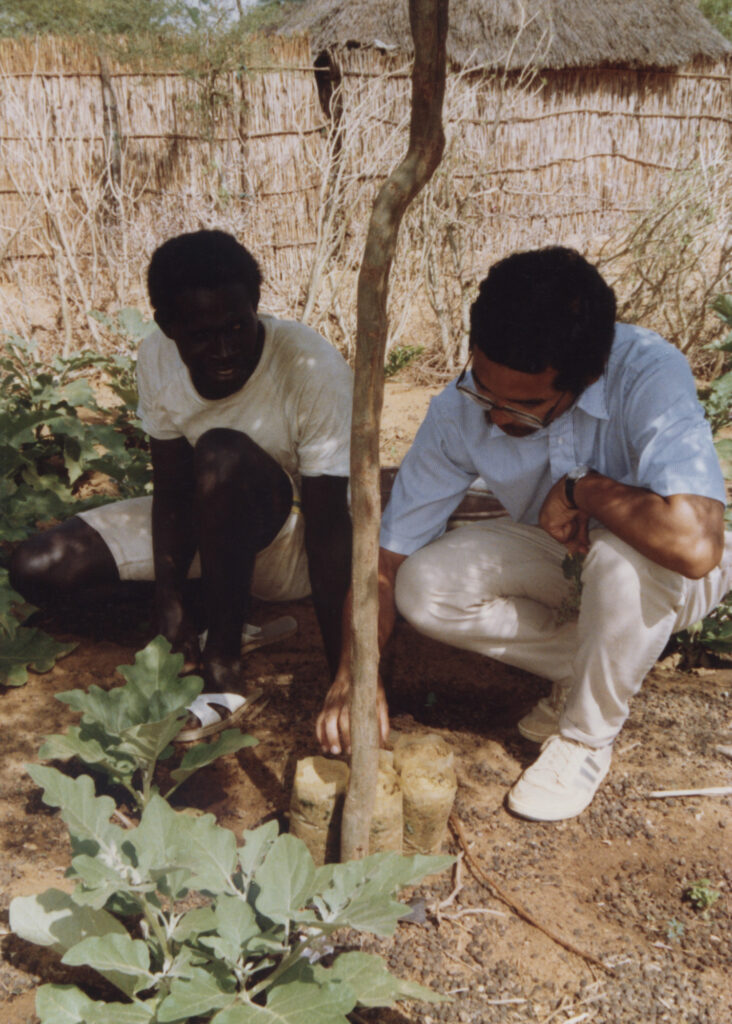 Séex Ley and Patrick Gonzalez kneeling next to a tree, discussing tree growing.