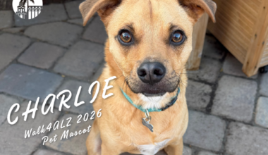 Meet the Walk4ALZ 2026 Pet Mascot, Charlie!