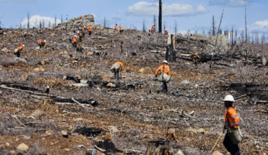 Gov. Newsom Signs Wildfire Recovery Package to Strengthen Protections, Focus on Rebuilding