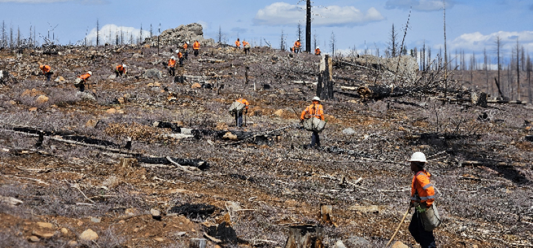 Gov. Newsom Signs Wildfire Recovery Package to Strengthen Protections, Focus on Rebuilding