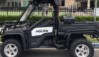 Coronado crime report: Disorderly conduct, weapons possession, felony evading