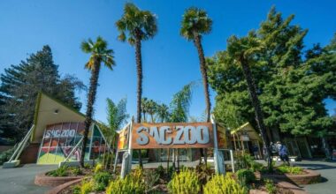 City gives Sacramento Zoo approval to expand in Land Park