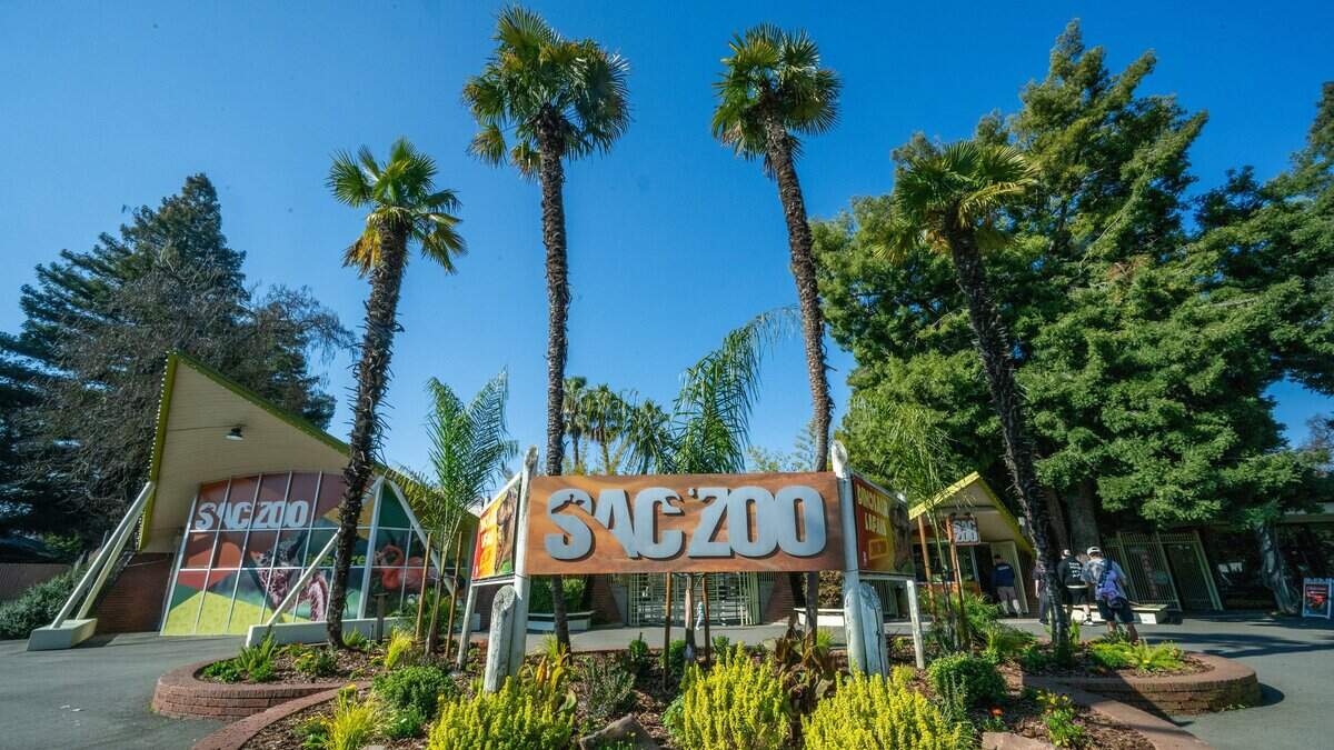 City gives Sacramento Zoo approval to expand in Land Park
