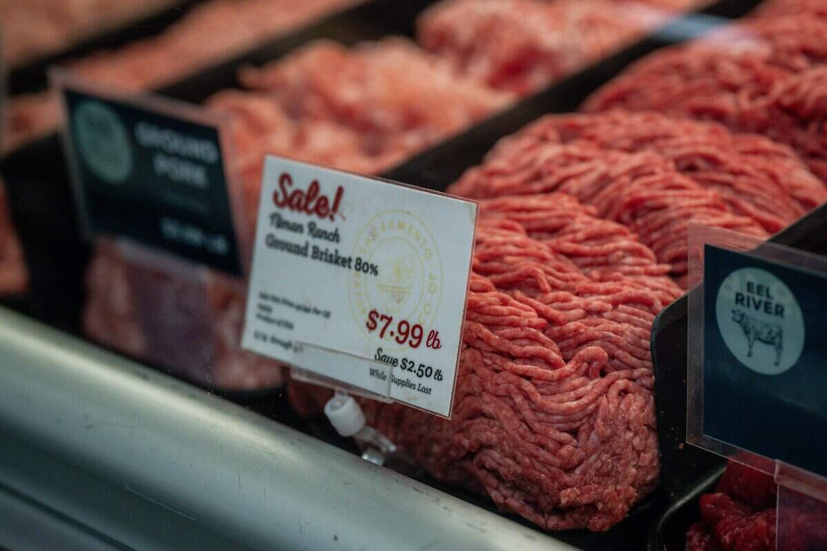 Price of ground brisket at Sacramento Natural Foods Co-op on Tuesday, Sept. 1, 2026.