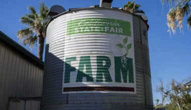 Cal Expo’s An Evening on The Farm connects chefs, growers