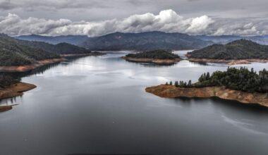 Man drowns rescuing pet dog at Lake Shasta